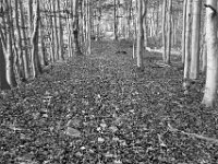 Beskid Niski